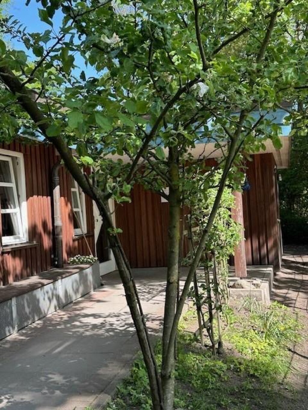 Eingangsbereich AWO Kita Haynspark in Eimsbüttel.