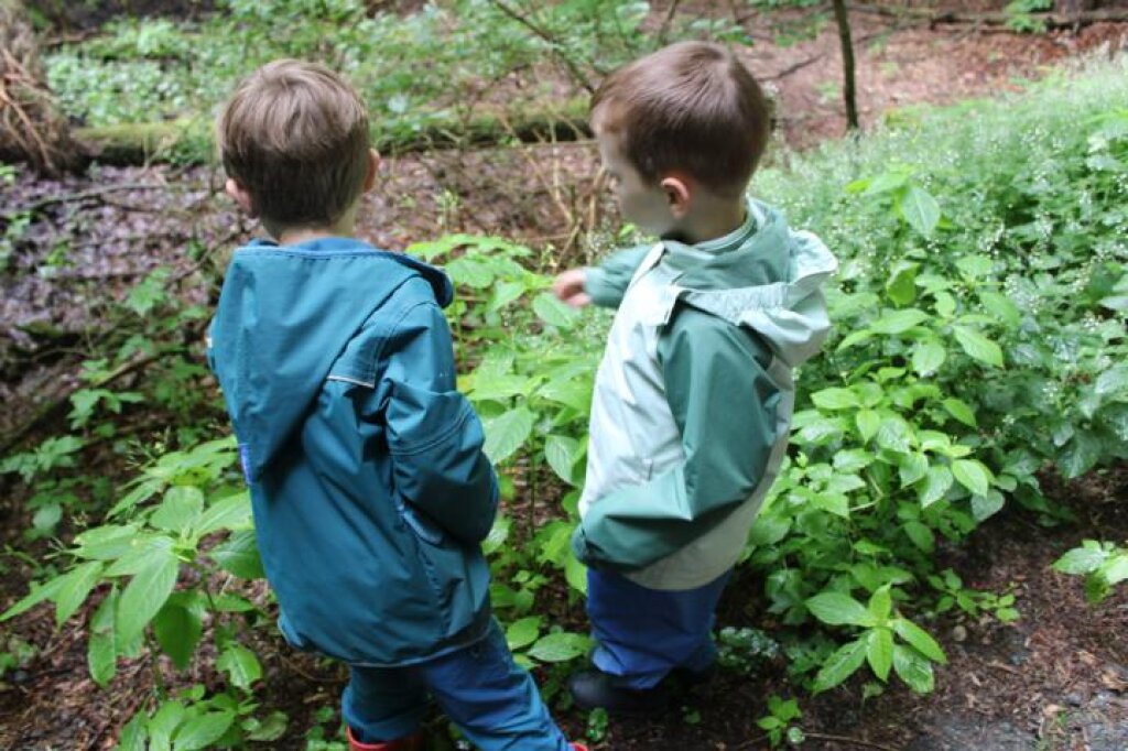 Kinder entdecken den Wald in Harburg.