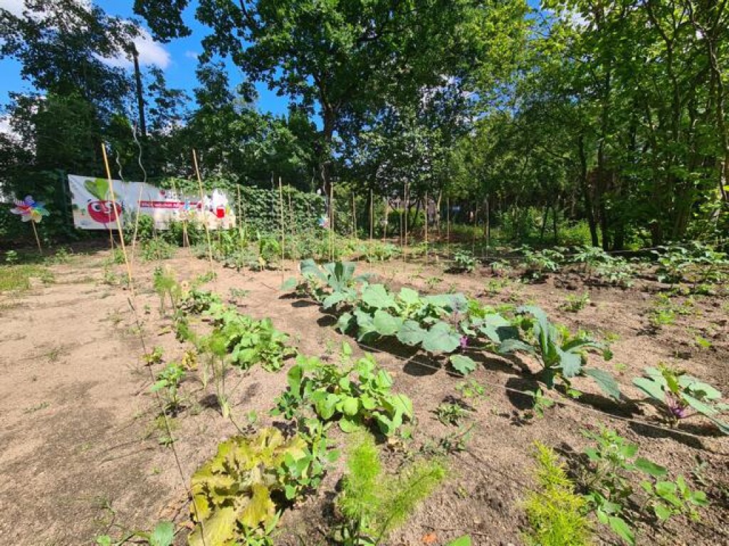 Kita Zauberburg  und Beete im Außenbereich.
