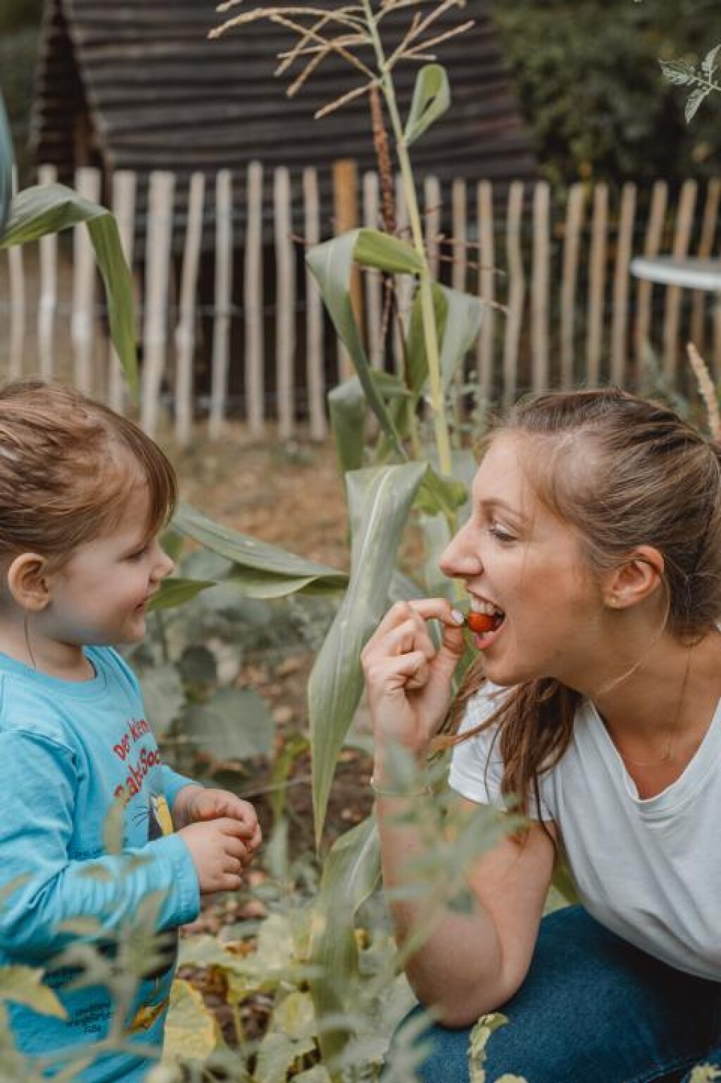 AWO Hamburg Fachkräfte und Kinder ernten Erdbeeren in der Kita Zauberburg.